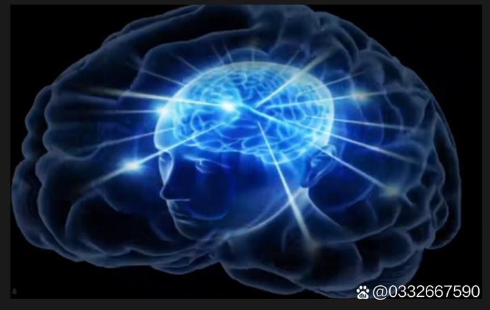 网友扒出的同款细节对比